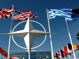 Россия и Украина по-разному поздравили НАТО