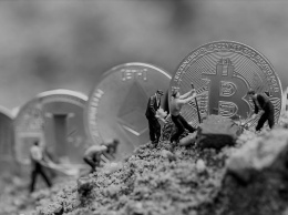 Bitcoin Cash вырос на 10%: сезон альткоинов неизбежен?