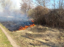 Пожары сухой травы в области: огонь подбирается к жилым домам
