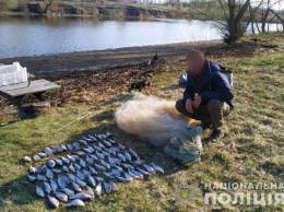 Браконьер незаконно выловил 30 килограммов рыбы (фото)