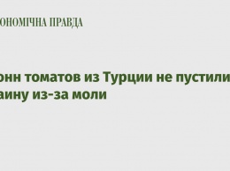 15 тонн томатов из Турции не пустили в Украину из-за моли