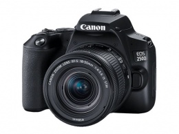 Бюджетная зеркальная камера Canon EOS 250D умеет отслеживать глаза в кадре