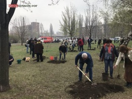 В сквере имени Кузьмы Скрябина активисты по традиции высадили деревья (фото)
