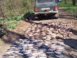 В Кривом Роге изъяли почти 500 штук незаконно выловленной рыбы