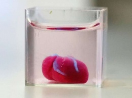 Искусственное сердце напечатали на 3D-принтере из клеток человека