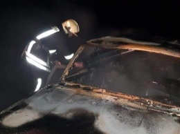 На Николаевщине на ходу загорелся автомобиль