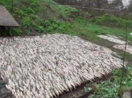 В Днепре задержали браконьера с уловом на сумму около 85. тыс. грн (ФОТО)