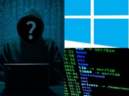 Опасность в Windows 10: ПК уязвимы из-за Internet Explorer