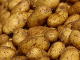 Украинские пограничники не пропустили в страну тонны зараженной картошки