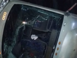 В Мексике перевернулся автобус с 40 пассажирами, есть погибшие
