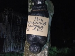 Новомосковские активисты развешивают на деревьях "трупы" тех, кто сорит в лесу (ФОТО)