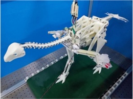 Ученые создали крылатого робота-динозавра