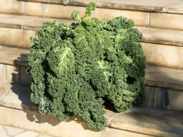 Невероятно, но употребление этого овоща - большой риск для здоровья!
