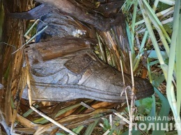 В центре Тернополя нашли скелет мужчины: фото с места ЧП