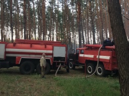 Масштабный пожар на Харьковщине: спасатели полдня боролись с огнем