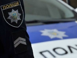 Зимние забавы в Украине: как полицейские уходили от погони и выкидывали деньги в окно