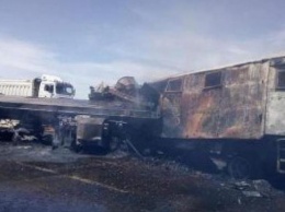 В Египте полицейский фургон столкнулся с грузовиком, 9 погибших