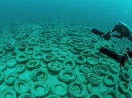 В Бердянске из покрышек создают искусственные рифы - в Европе такой эксперимент считают опасным, - ФОТО