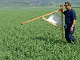 На Киевщине сельского голову подозревают в незаконной раздаче земельных участков на 4,4 млн