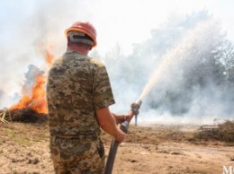 На Днепропетровщине прошли учения по тушению лесных пожаров и вручали квартиры пожарным (ФОТО)