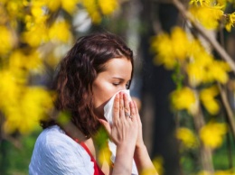 ТОП-3 самых распространенных аллергии среди павлоградцев
