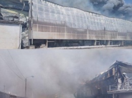 В Василькове пожар охватил 15 000 кв. м. птицефабрики: киевские пожарные выехали на помощь коллегам