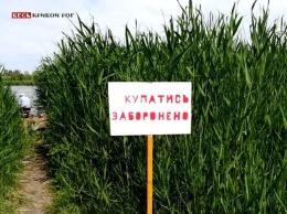 Глава Долгинцевского района Кривого Рога объяснил, почему запрещено купаться на Соленом озере