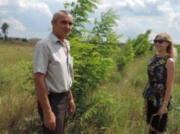 Вклад в экологию: ДТЭК помог Павлоградскому лесхозу высадить 65 000 саженцев