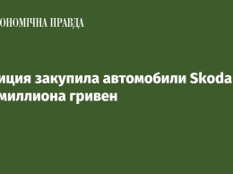 Полиция закупила автомобили Skoda на 182 миллиона гривен