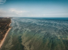 Красиво, но опасно: зеленое море в Одессе с высоты птичьего полета