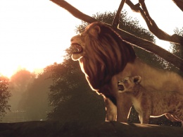 Слонята, львята и медвежата - симулятор идеального зоопарка Planet Zoo выходит 5 ноября