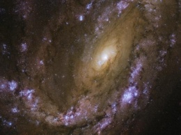 "Хаббл" сделал снимок "взрывоопасной" галактики