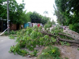 Упавшие деревья и затопленные улицы: 13 июня на Днепропетровщине бушевала непогода