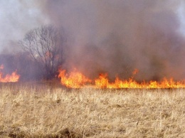 В Запорожской области горят поля и луга
