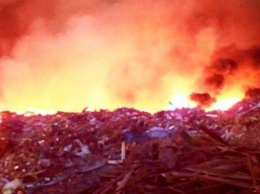 В Житомирской области не могут из-за жары ликвидировать пожар на свалке