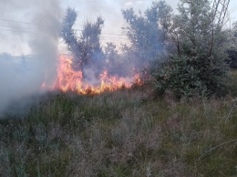 В Николаеве и области за сутки выгорело 36 гектар сухостоя и травы