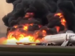 Самолет с украинцами рухнул под Полтавой: «выгорел дотла», кадры с места трагедии