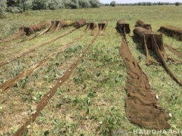 Работники водной полиции Херсонщины предупредили нанесение ущерба естественной среде на сумму более 2,5 миллиона гривен