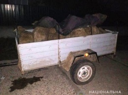 В Измаильском районе украденных овец нашли в багажнике «Жигулей»