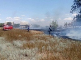 В Одесской области горит курортная зона