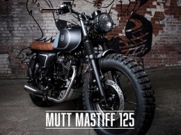 Компания Mutt представила заводской кастом Mastiff 125