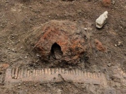 Археологи обнаружили в Швеции захоронение викинга с собакой, лошадью и кораблем