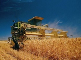 Килийские аграрии уже убрали всю пшеницу