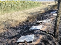 В Одесской области огонь уничтожил более 30-ти ульев: пчеловод уверен, что это поджог