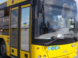 С 13 июля на Лесном массиве изменят маршруты ряд автобусов и троллейбусов