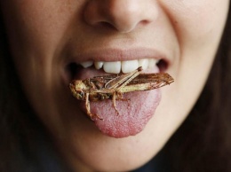 Диетолог Маргарита Королева: белок насекомых подходит далеко не всем
