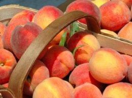 Где купить малину, абрикосы и сладкие персики возле дома: адреса