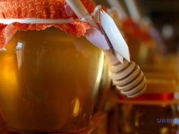 Более 200 пчеловодов съедутся на медовый фестиваль во Франковск