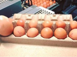 Почему запрещено мыть куриные яйца и как с ними правильно обращаться