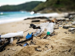 Экологические движения заявляют о вреде пластика